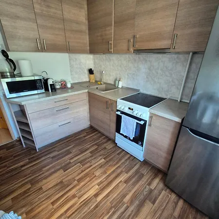 Alka Apartment Druskininkai