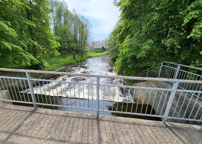 Alka * ドルスキニンカイ