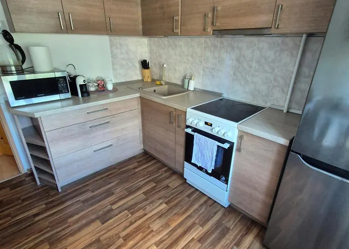 Alka Apartment Druskininkai